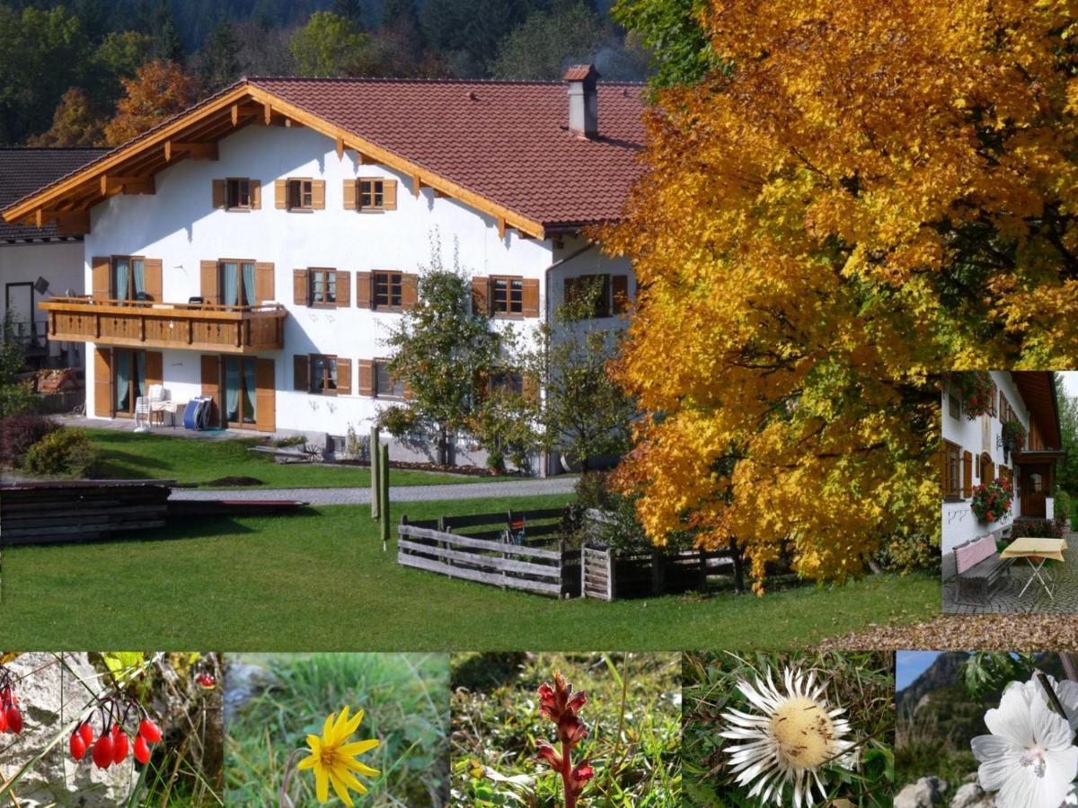 Ferienwohnungen Hennenmuehle Bad Hindelang Exterior foto